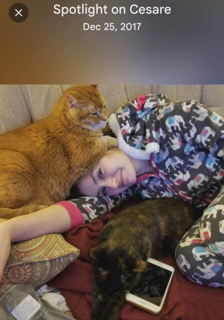 A girl wearing pajamas lounges on a couch surrounded by two cats, one orange and one black. She has a content smile, resting her head on a pillow with the orange cat beside her.