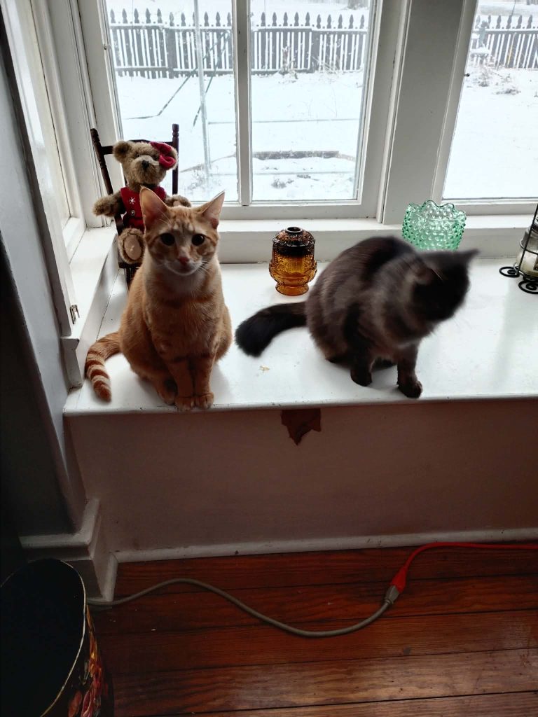 An orange tabby cat and a gray cat sitting on a windowsill, with a snowy outdoor scene visible through the window. A teddy bear in a chair and decorative items are present on the windowsill.