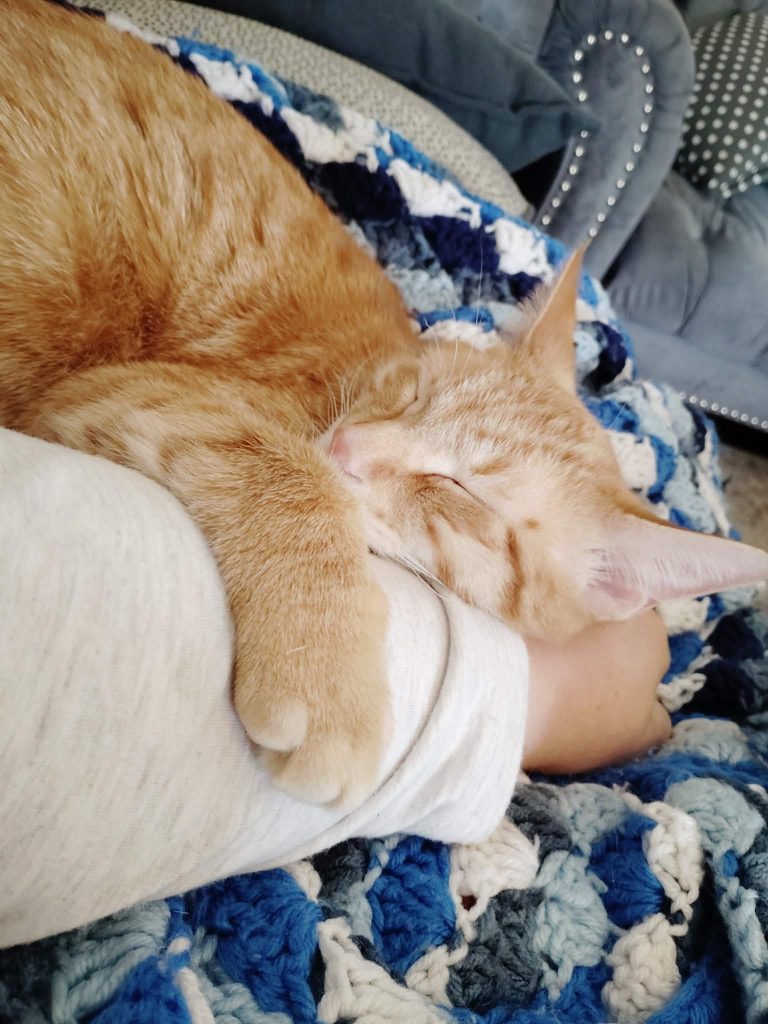 An orange cat peacefully sleeping on a person's arm, with a cozy, colorful crocheted blanket in the background.