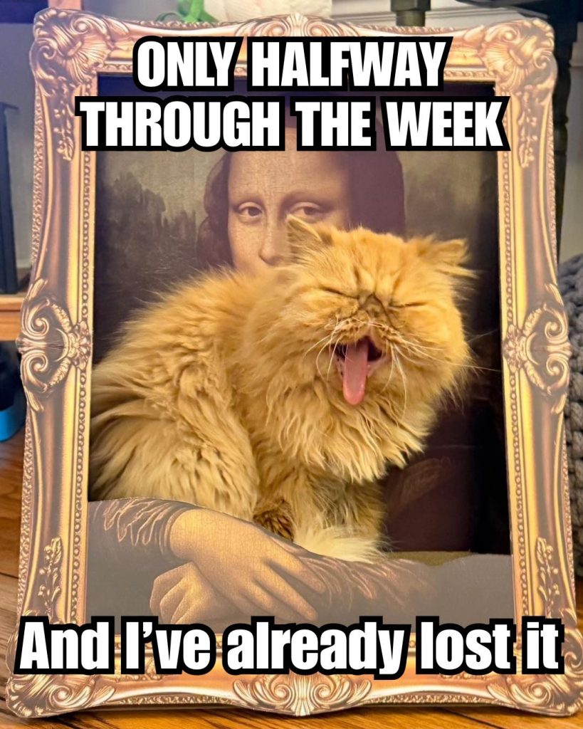 A humorous image of a fluffy orange cat yawning inside a picture frame, which features a classic painting. The text above and below the image expresses frustration about the week being only halfway through.