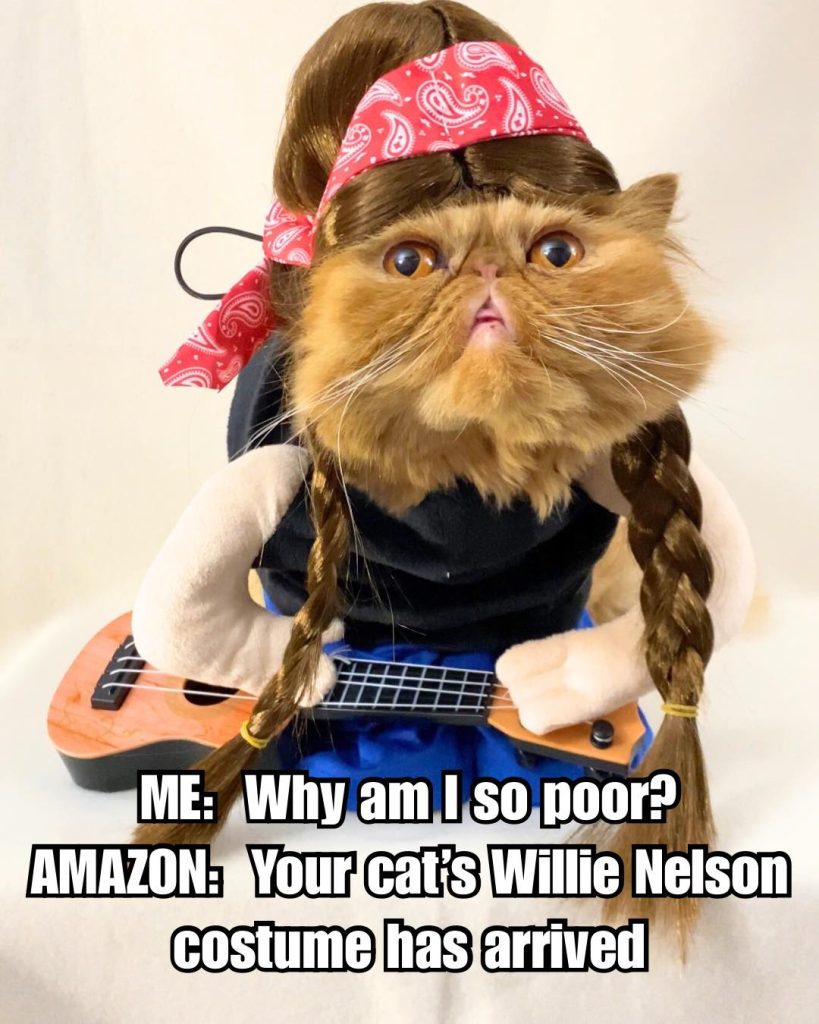 A cat dressed in a Willie Nelson costume with a bandana and guitar, featuring humorous text about the arrival of the costume.