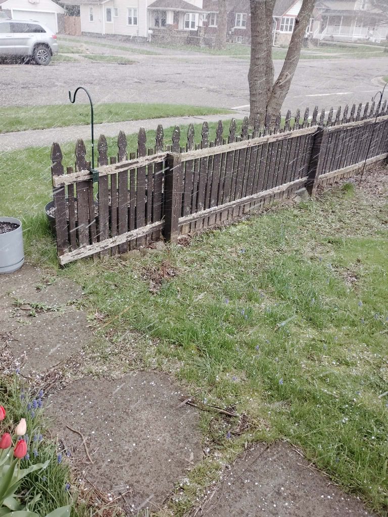 A garden scene showing a wooden fence, partially covered in snow or hail, with a patch of grass and flowers in the foreground, under overcast weather.