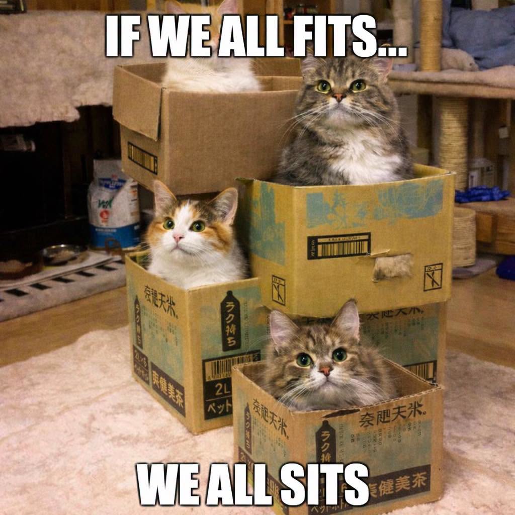 Three cats sitting in stacked cardboard boxes with a humorous caption about fitting and sitting.
