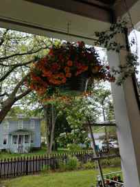 Hanging flower basket with vibrant orange and yellow blooms, surrounded by green foliage and trees in a residential area.